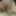 Wet Pussy Creampie #5
