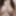 breasts