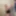 Very big fuck | 2022 #36