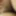 Pussy