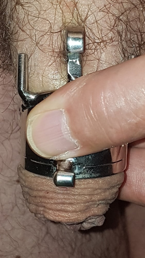 Chastity cage #52