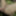 Anal fucked, cumshot in her mouth #8