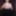 Nun Tit Worship with oil #3