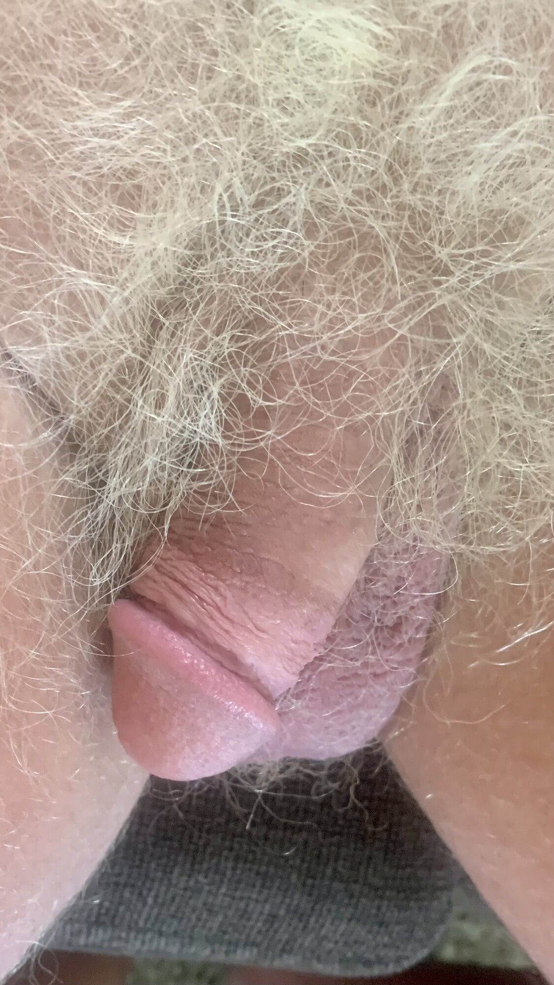 MY BLONDE HAIRED TAN COCK #12