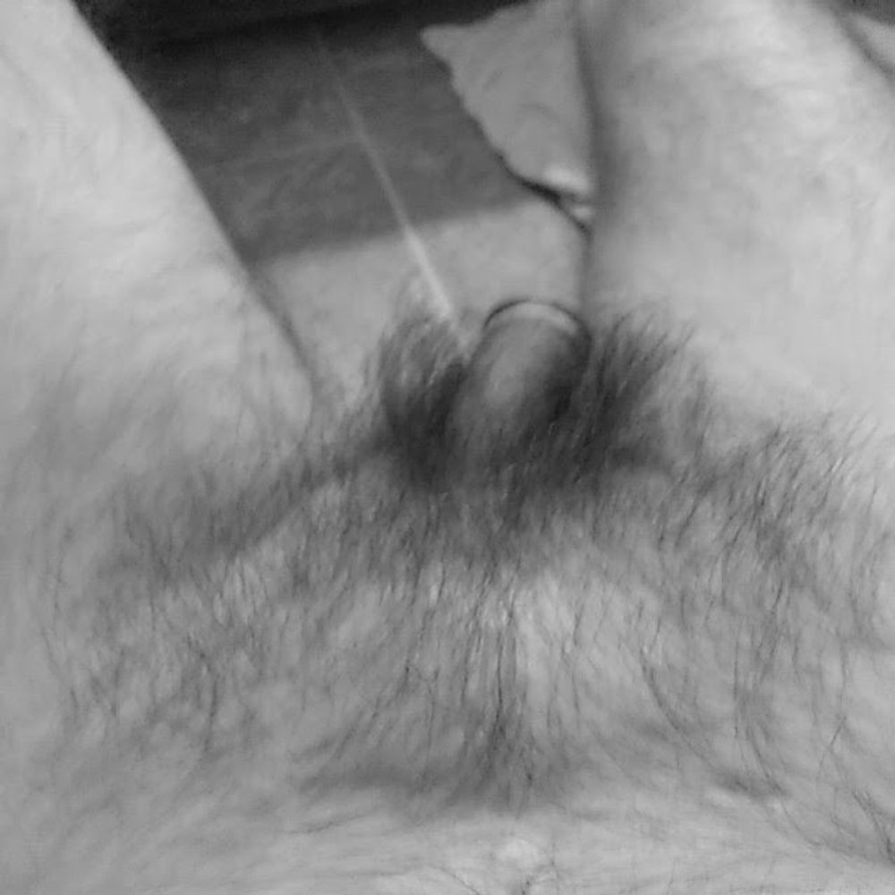 Hairy cock #8