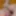 Sneak Preview