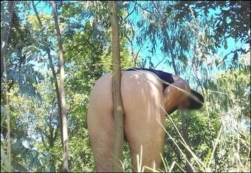 Naked in the bush  #5