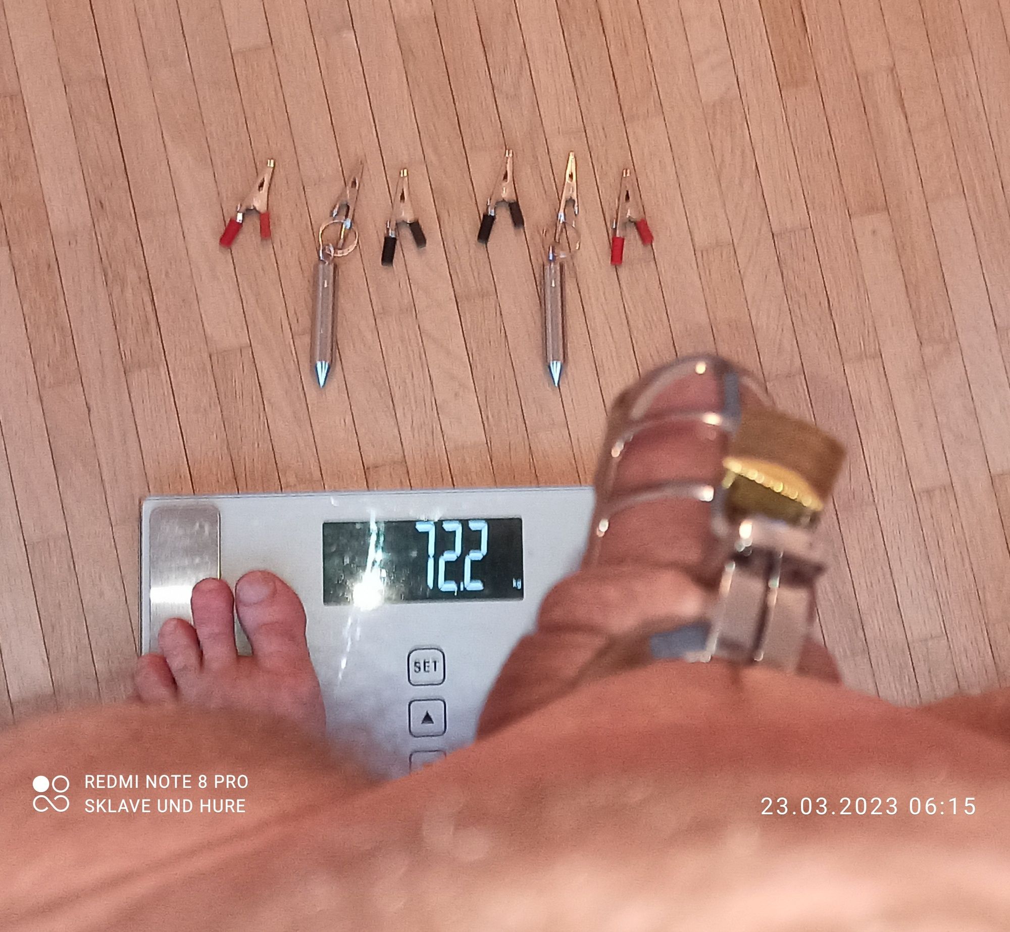 mandatory weighing and cagecheck of 23.03.2023 #9