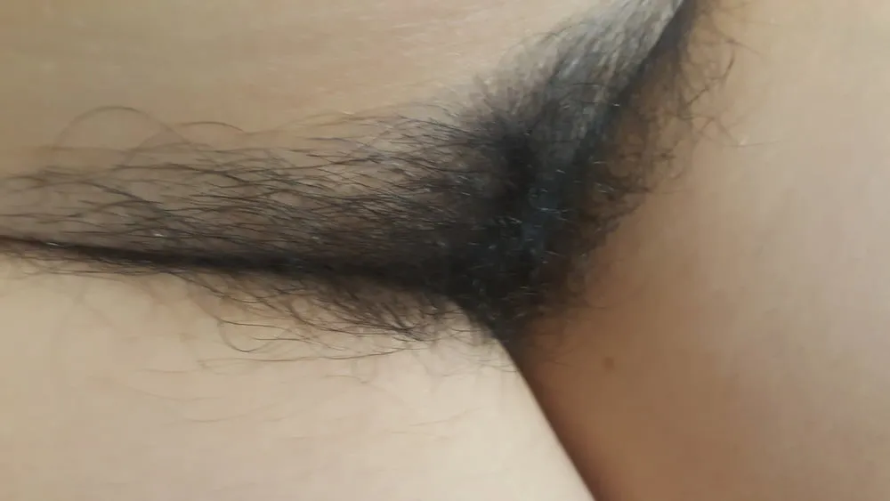 hairy pussy #3