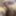 23 Pictures for 2023 Part 1 #5