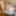Dec 24 WEEKLY Video Update to DoggVision VIP Members Area #3