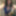 シシーキャンディの写真