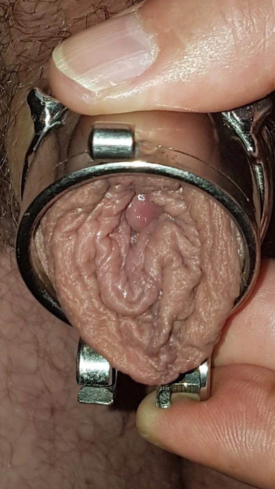 Chastity cage #46