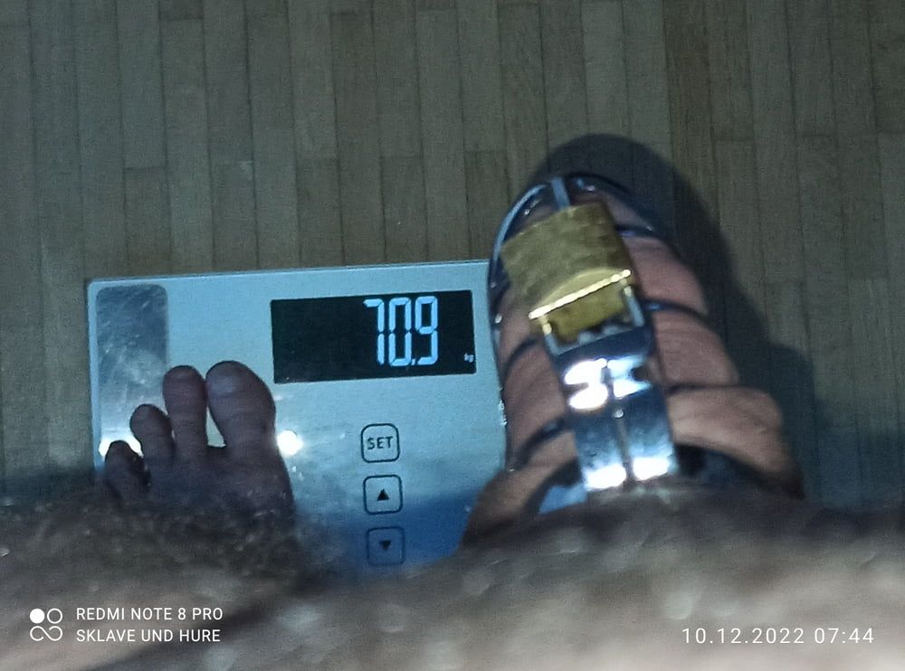 mandatory weighing and cagecheck of 10.12.2022 #7