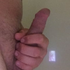 Young cock