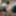 ⭐🌸May🌸⭐ Free Photos #2
