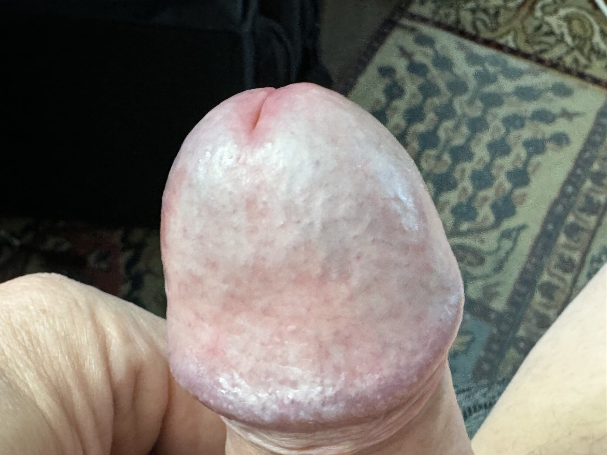 My horny cock #4