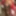 Red Raincoat