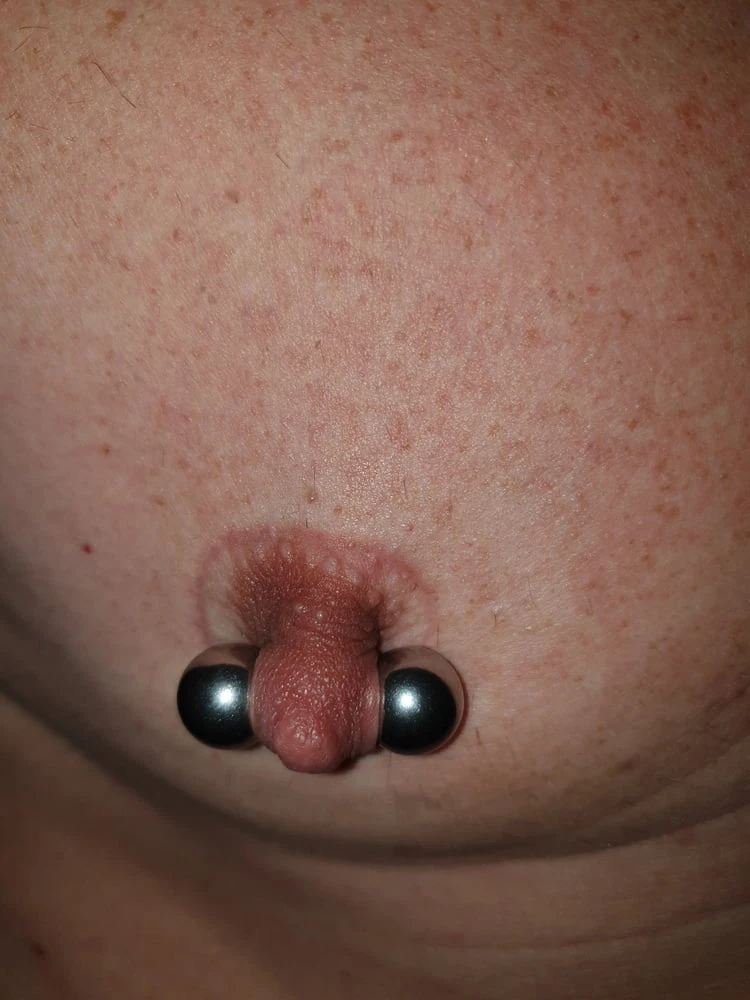 meine Piercings