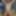 Faggot Andrew Brown...Totally Nude, Totally Exposed