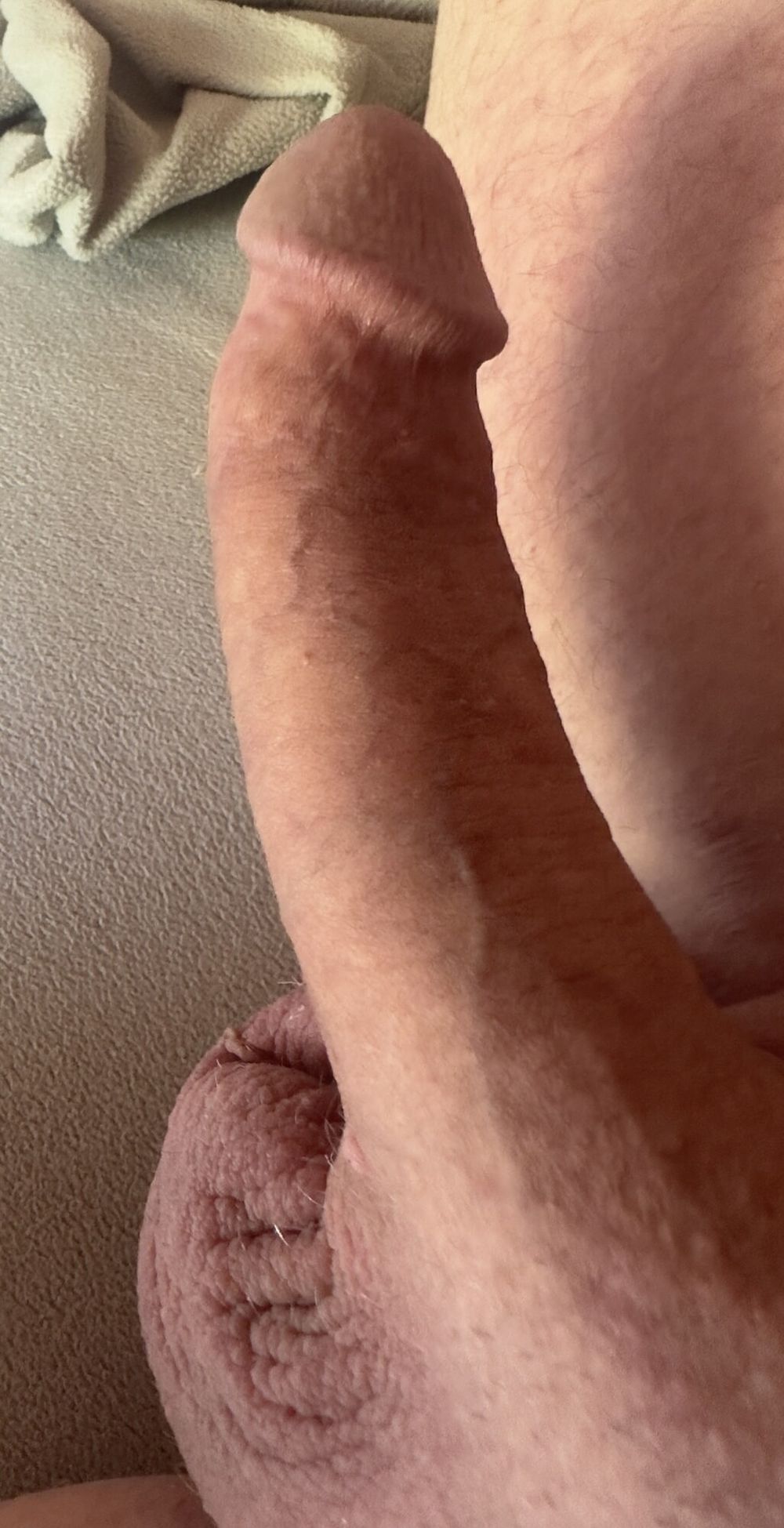 New cock pics  #6