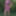 Flowered dress #33