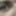 Daha Fazla Penis