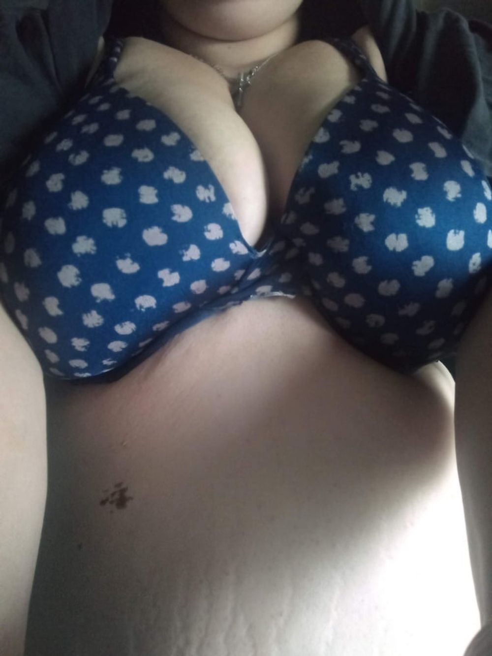 Sexydixie27 bra pics #6