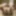 Florent Naked