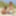 Outdoor lesbians Cora und Petty in the dunes