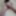 Naked Niqab #21