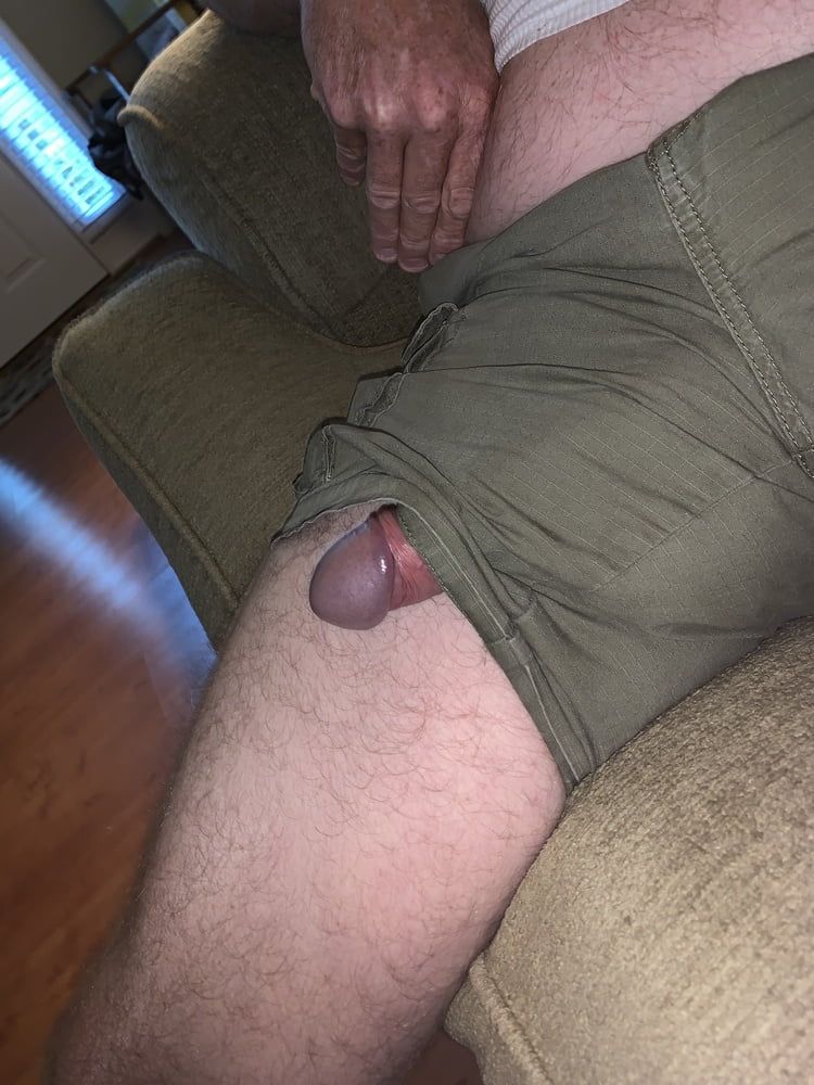 Cock in Shorts  #29