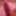 cock pink