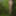 Wanking in the woods