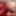Strap-On Fantasiy realised - 582 #6
