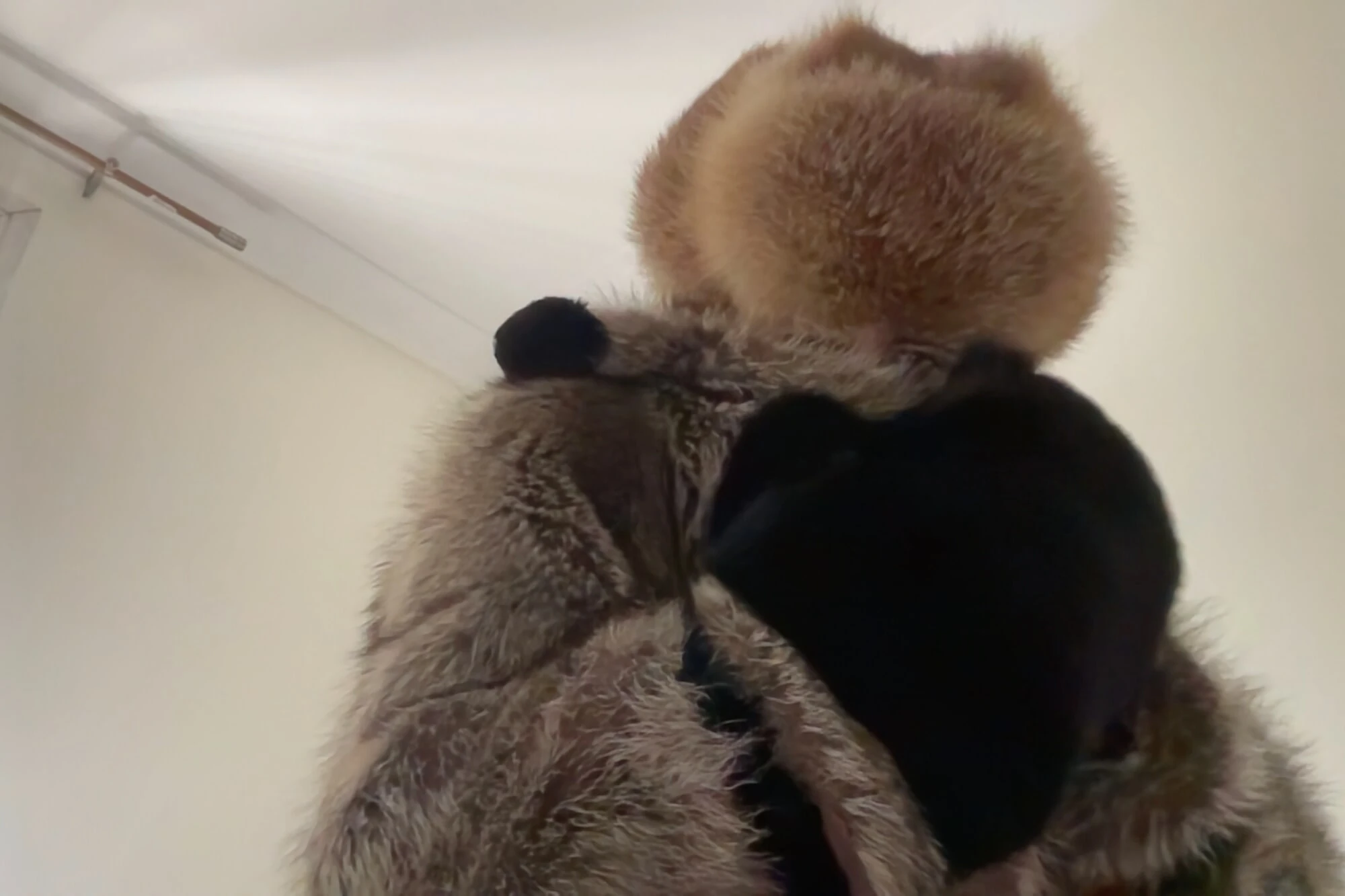 me n furs