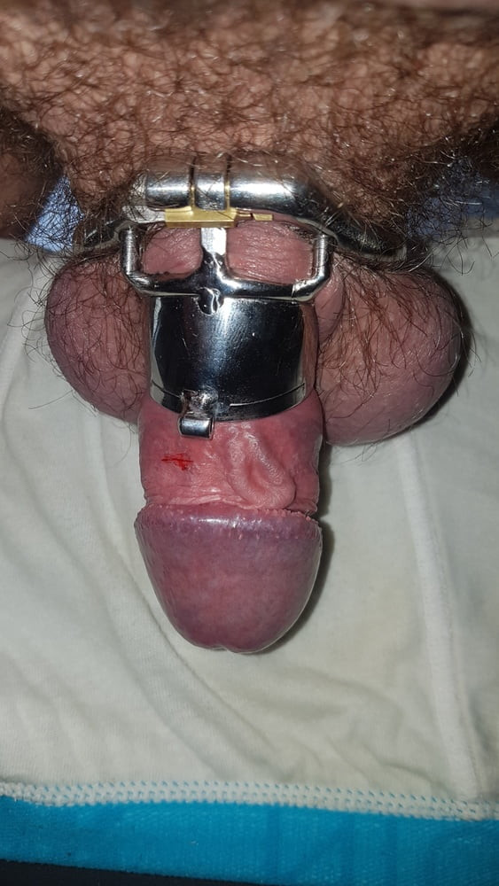 Chastity cage #8
