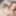BRAZILIAN TRANSSEXUALS: Fabulous Debut Arriving