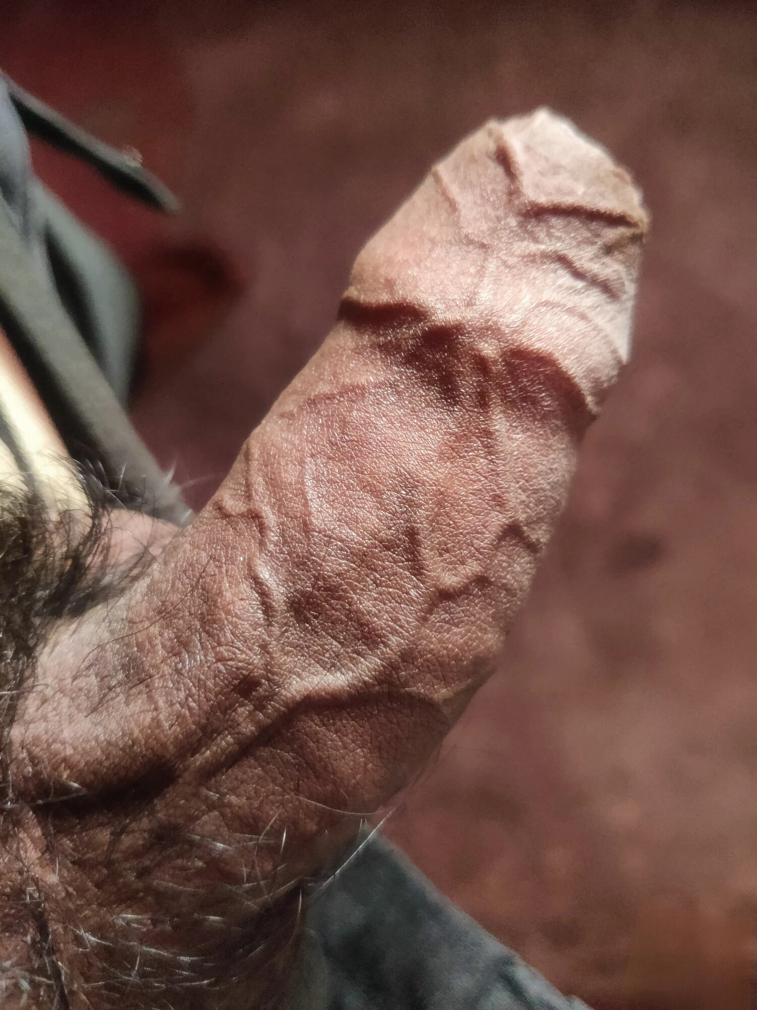 Трансвеститтердің порно видеосы