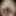 Linda asian ts champagne and big black pearl dildo #29