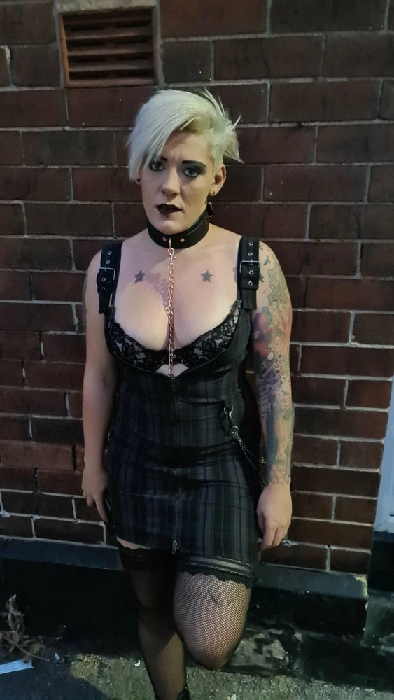 Pinkthehawk Free Photos #17