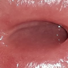 Close up Cock