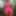 Pink 1p Swim Wear Nilmini Sheron