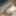 Showing Big Hard Indian Cock -do you want My dick
