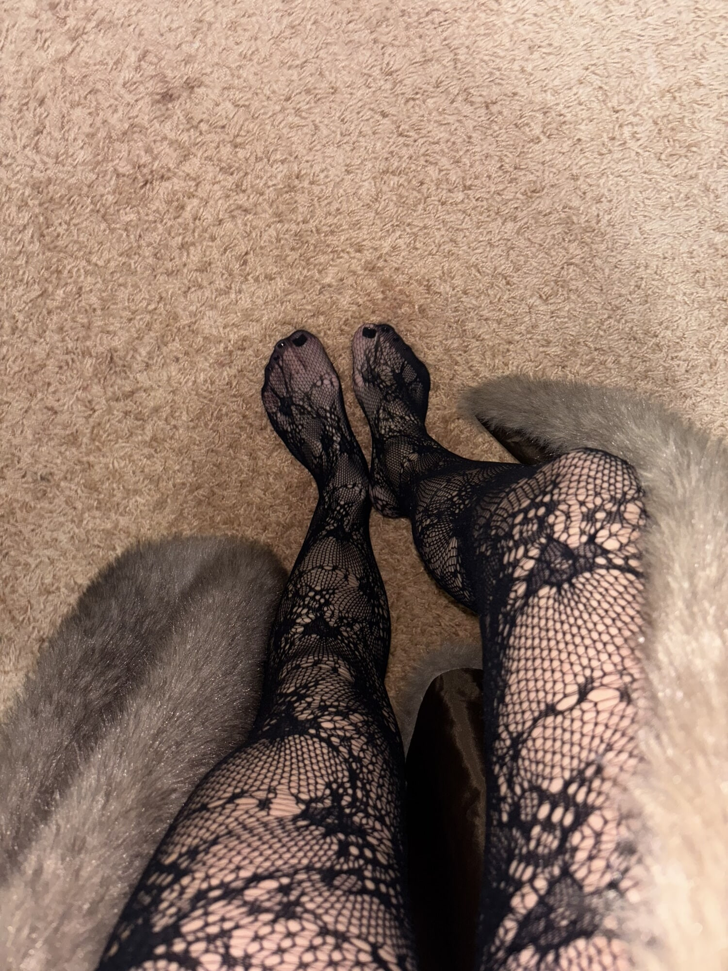 Long legs in sexy stockings and heels