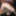 Mixed pics from the gangbang party with Nora Wildlife #4