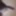 Horny Indian Guy Playing with Cock &amp; Masturbating..