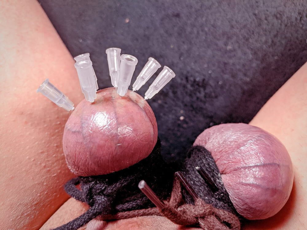 Testicle Skewering Needles in Balls CBT Session #19