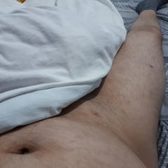 Shy Cock