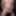 exhibitionist webcam sexshow big dick edging flying cumshot